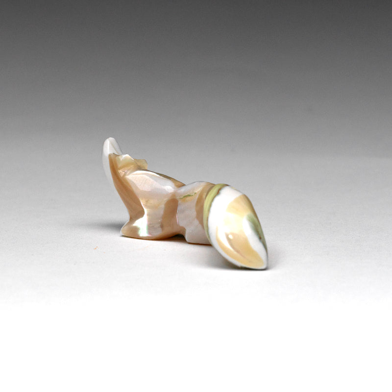 Cheryl Beyuka: Green Snail Shell, Pacific  Fox