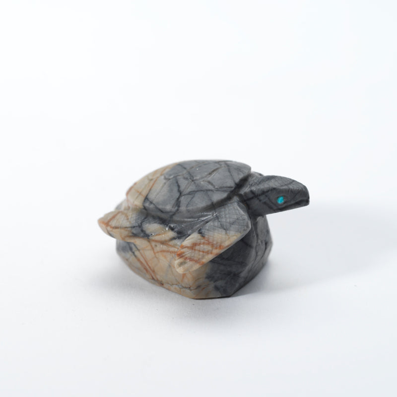 Michael Coble: Picasso Marble, Sea Turtle