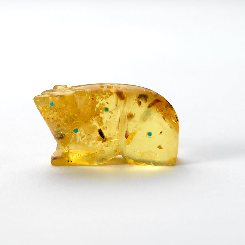 David Chavez: Amber, Copal  Bear