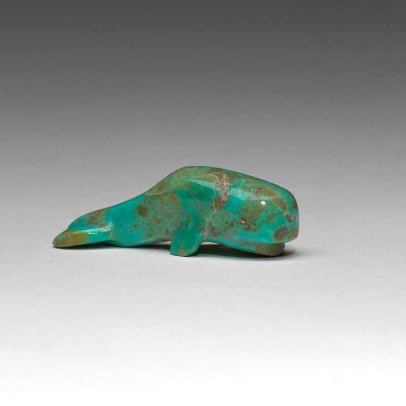 Kenny Chavez: Turquoise, Whale