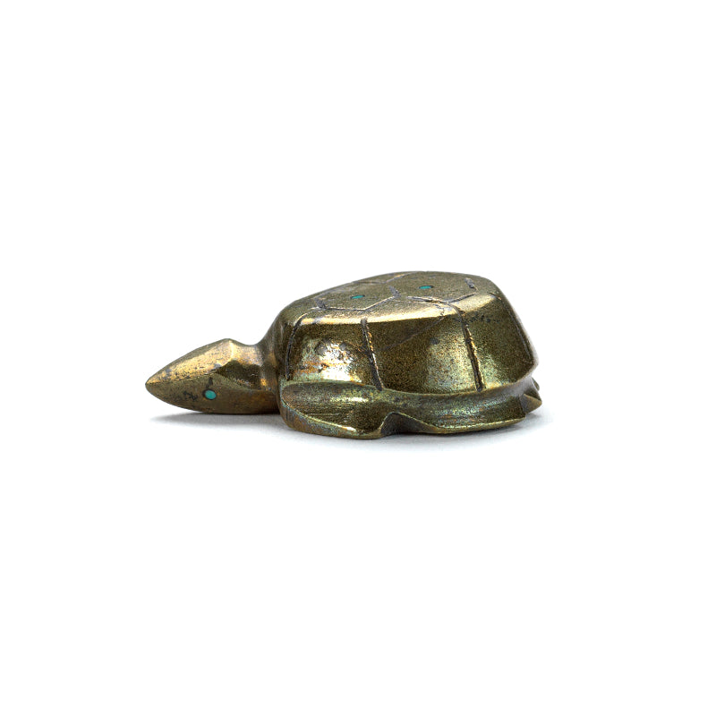 Kenny Chavez: Pyrite, Turtle