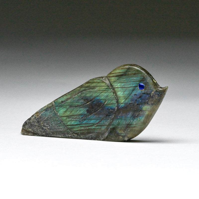 Kateri Q. Sanchez: Labradorite, Whimsical  Bird