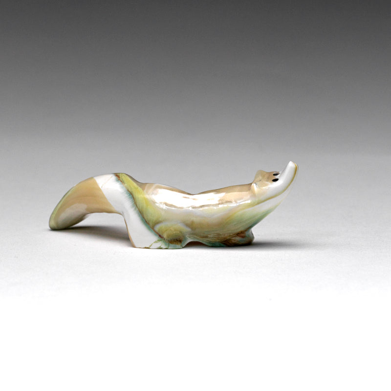 Cheryl Beyuka: Green Snail Shell, Pacific  Fox