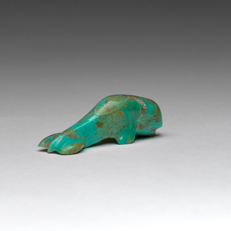 Kenny Chavez: Turquoise, Whale