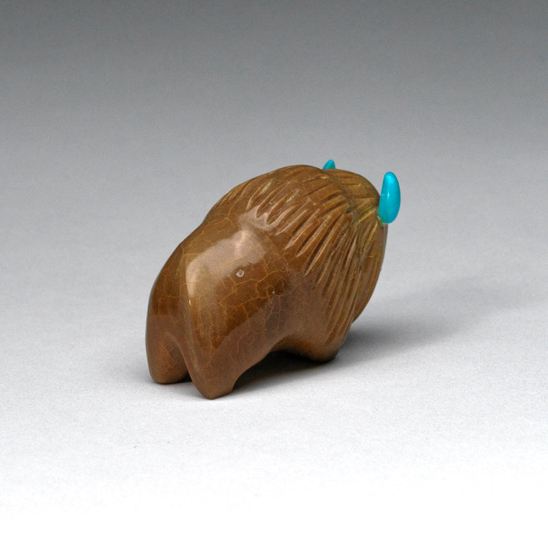 Gail Lucio: Tagua Nut, Bison