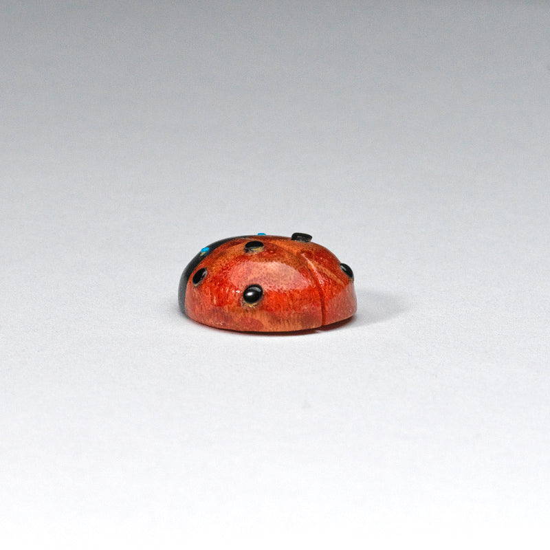 Georgette Quam:  Apple coral, Ladybug