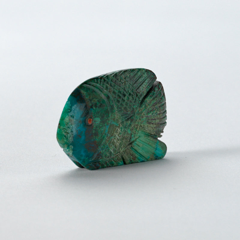 Vivella Cheama: Chrysocolla, Fish