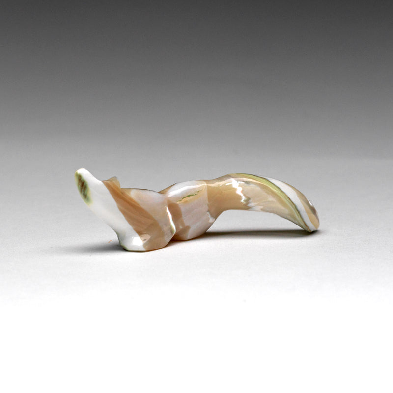 Cheryl Beyuka: Green Snail Shell, Pacific  Fox