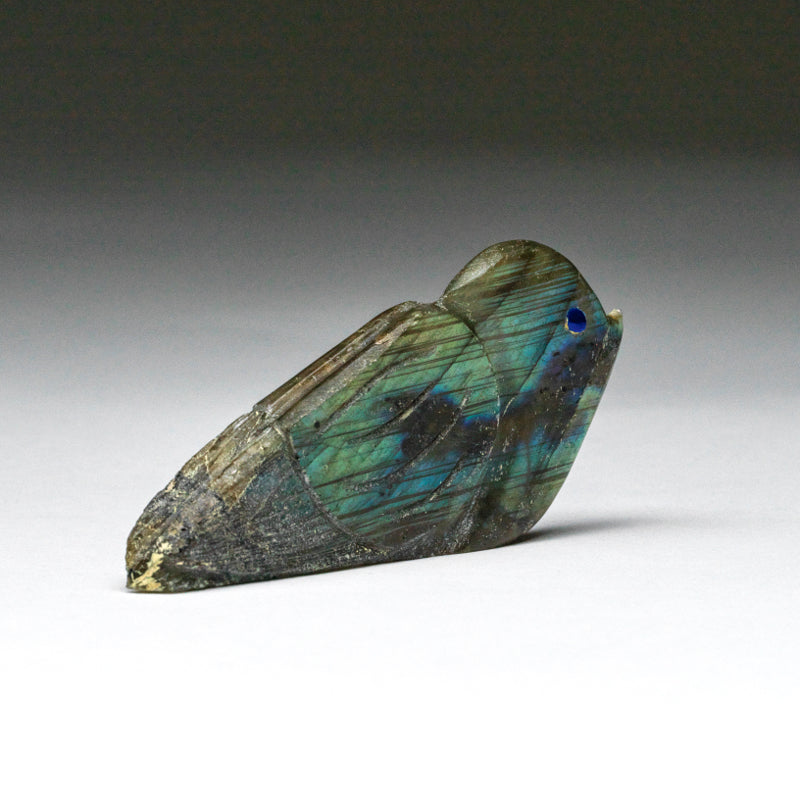 Kateri Q. Sanchez: Labradorite, Whimsical  Bird