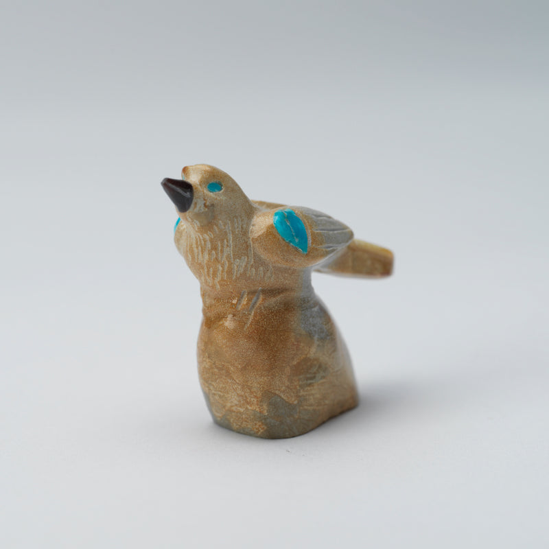 Freddie Leekya: Zuni Stone/Turquoise, Bird on Rock