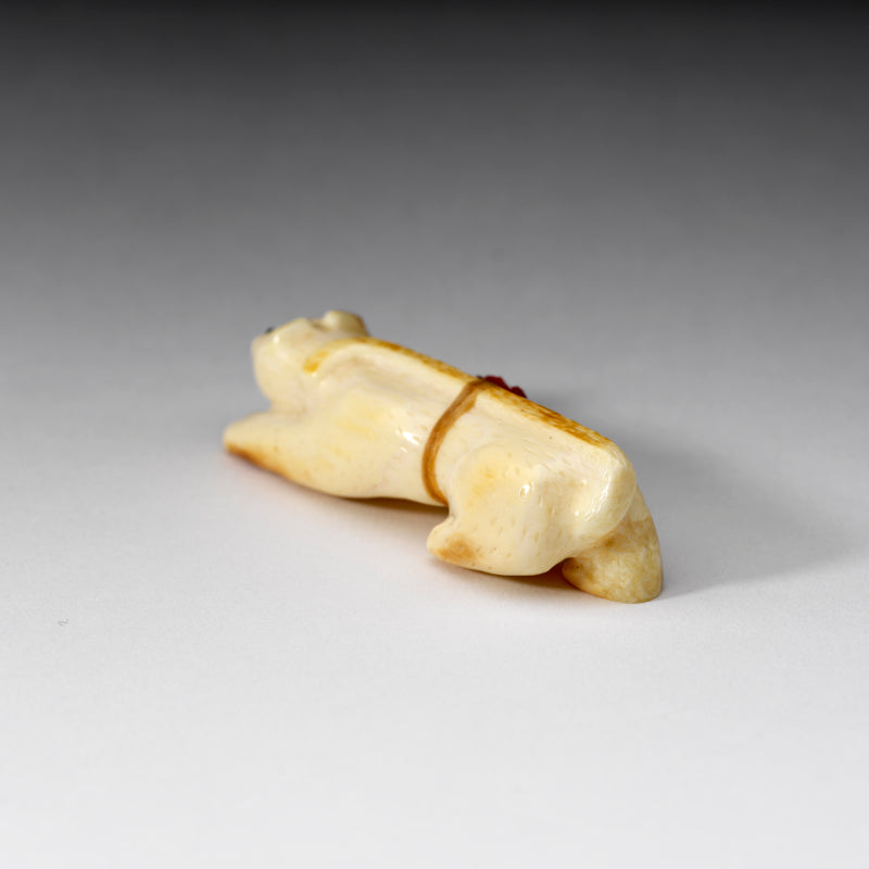 Roderick Quam: Fossilized Ivory with Gold Slag, Mountain Lion