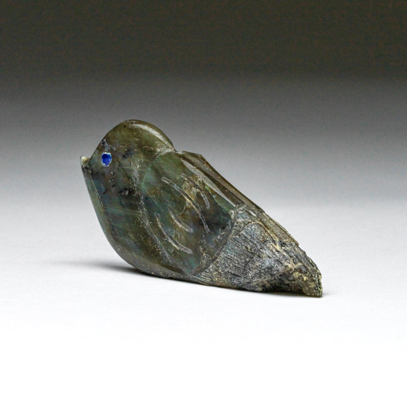 Kateri Q. Sanchez: Labradorite, Whimsical  Bird