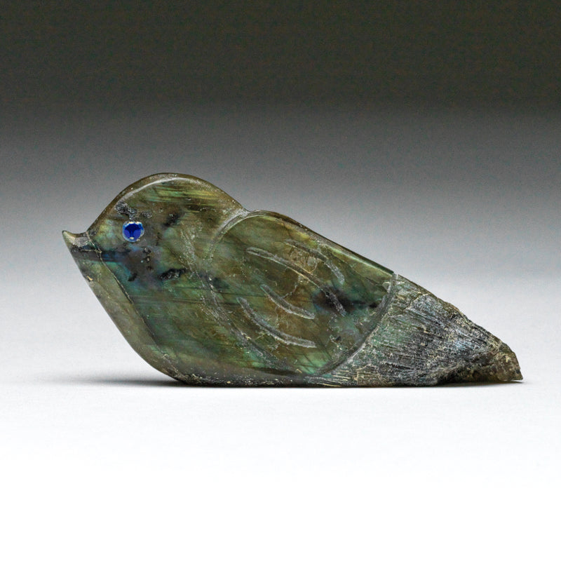 Kateri Q. Sanchez: Labradorite, Whimsical  Bird