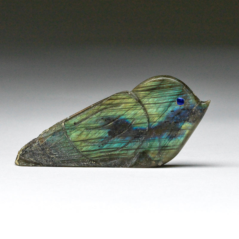 Kateri Q. Sanchez: Labradorite, Whimsical  Bird