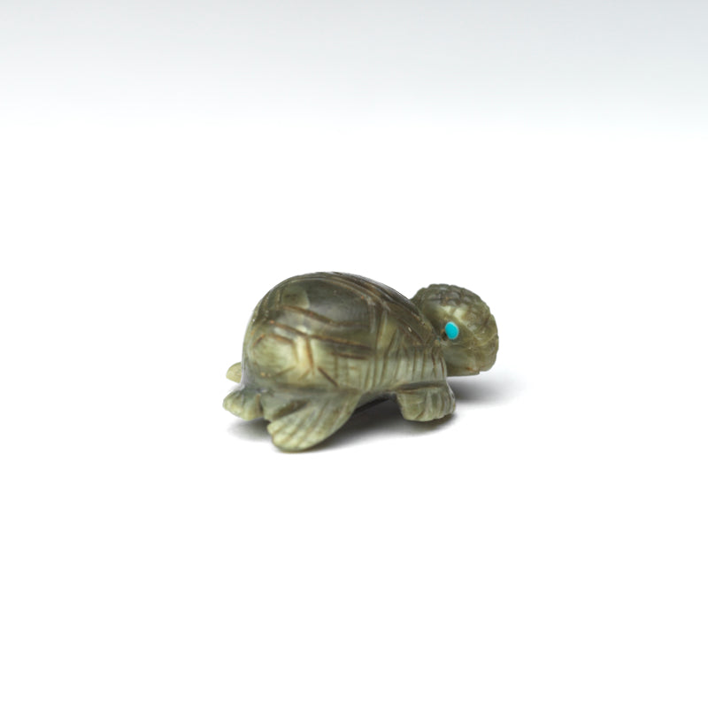 Karen Zunie: Ricolite, Turtle
