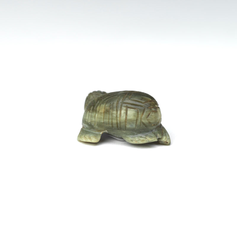 Karen Zunie: Ricolite, Turtle