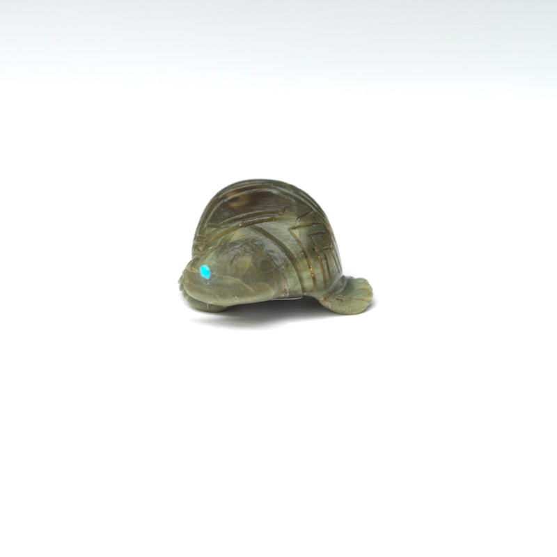 Karen Zunie: Ricolite, Turtle