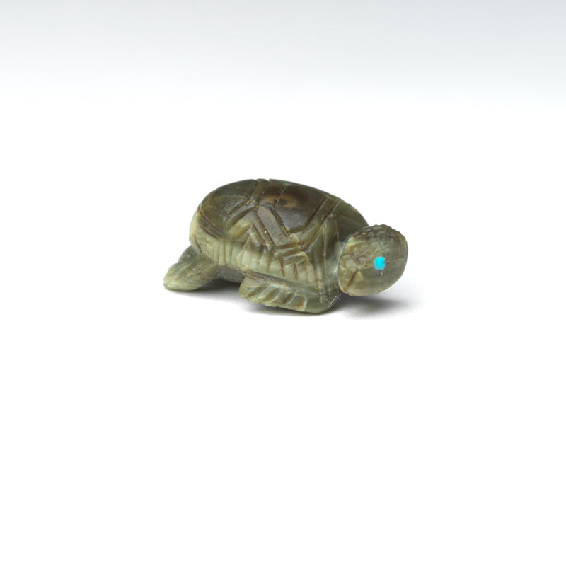 Karen Zunie: Ricolite, Turtle