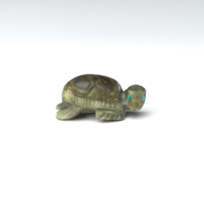 Karen Zunie: Ricolite, Turtle