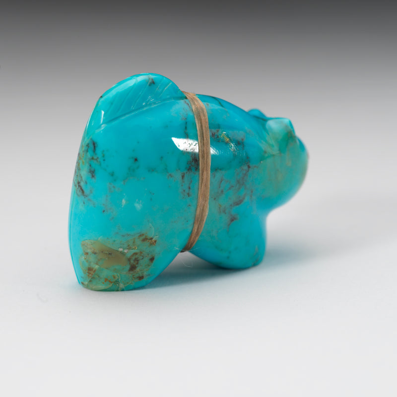 Leland Boone & Daphne Quam: Turquoise, Mountain Lion