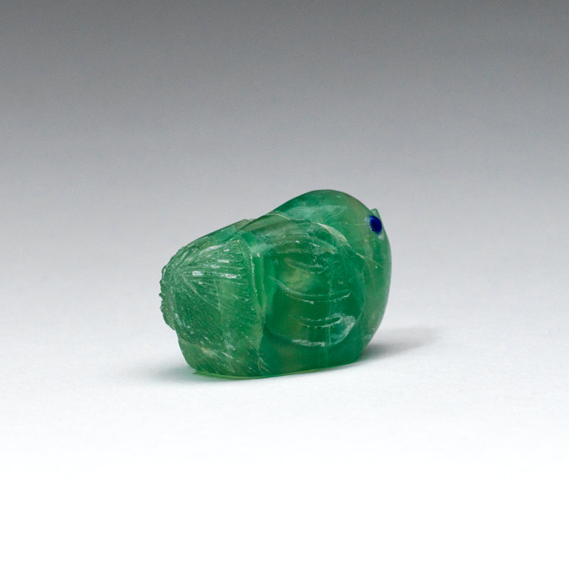 Kateri Q. Sanchez: Fluorite, Green  Bird