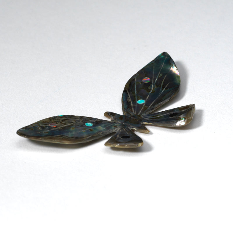 Tammy Deysee: Abalone Shell, Butterfly