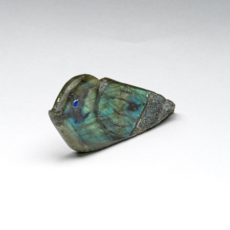 Kateri Q. Sanchez: Labradorite, Whimsical  Bird