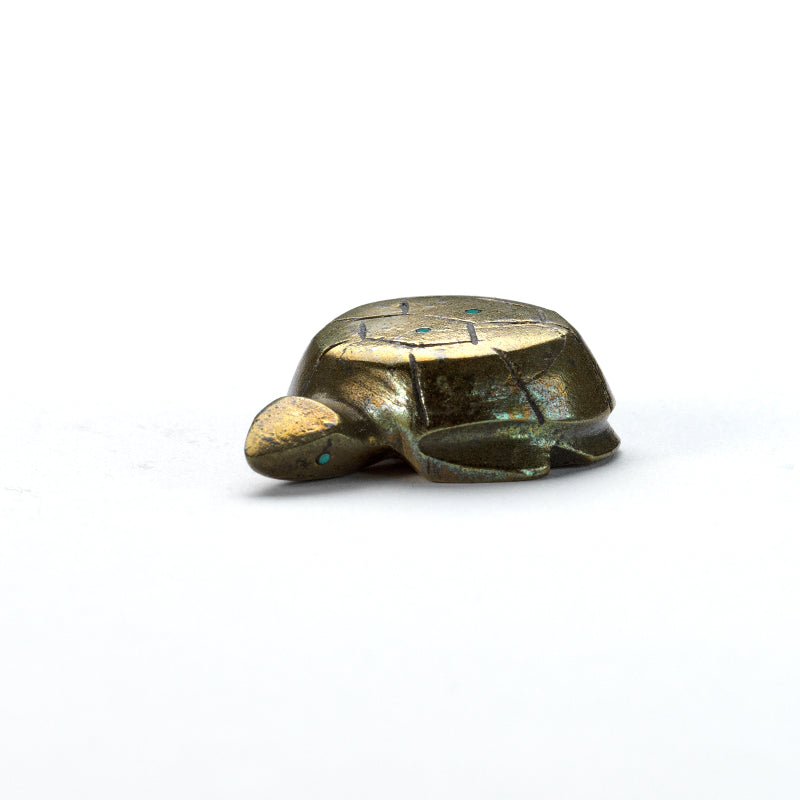 Kenny Chavez: Pyrite, Turtle