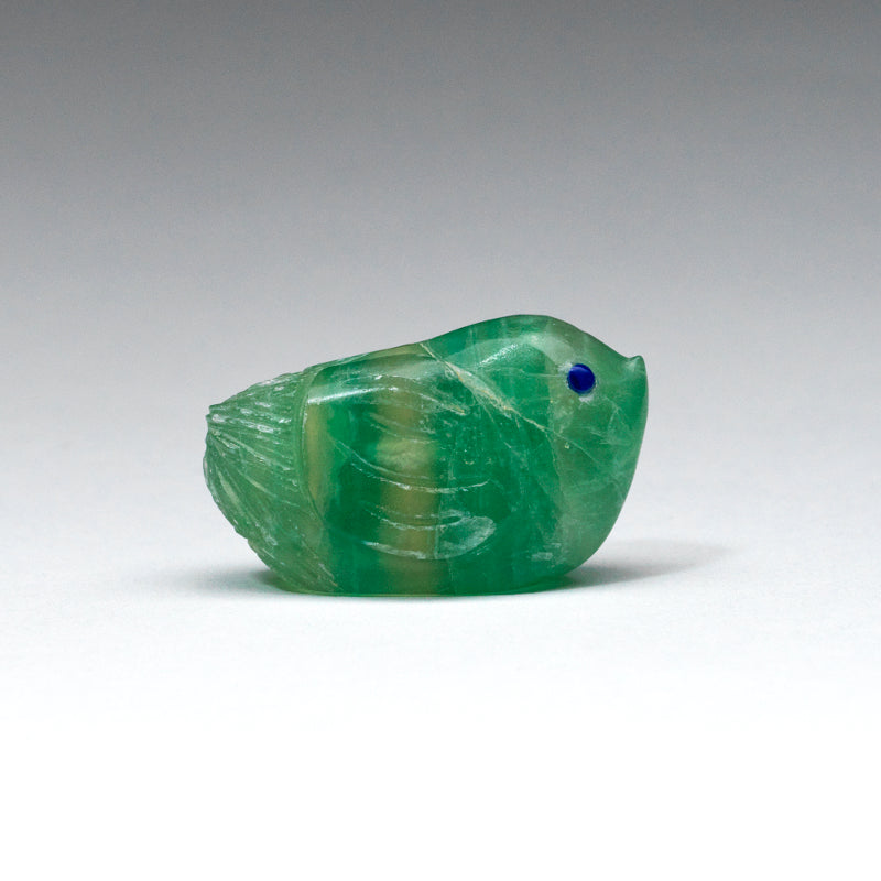 Kateri Q. Sanchez: Fluorite, Green  Bird