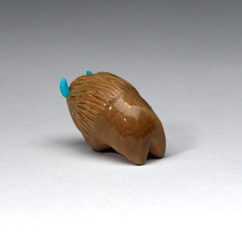 Gail Lucio: Tagua Nut, Bison