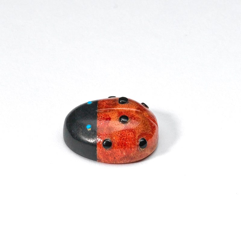 Georgette Quam:  Apple coral, Ladybug
