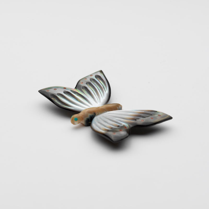 Clissa Martin: Black Lip Shell & Green Snail Shell, Butterfly