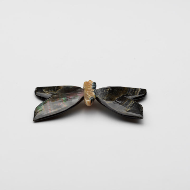 Clissa Martin: Black Lip Shell & Green Snail Shell, Butterfly