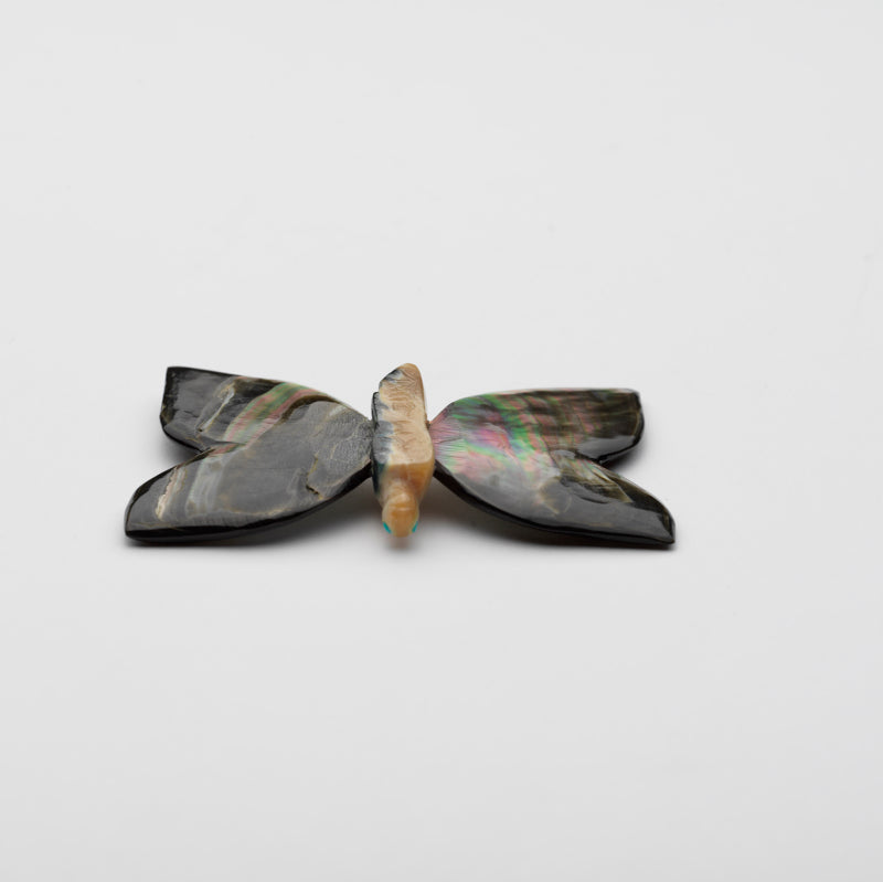 Clissa Martin: Black Lip Shell & Green Snail Shell, Butterfly