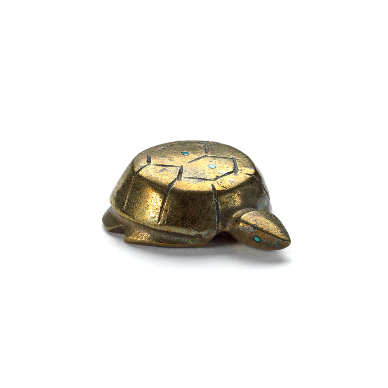 Kenny Chavez: Pyrite, Turtle