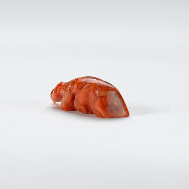 Georgette Quam & Reynold Lunasee: Apple coral, Fox