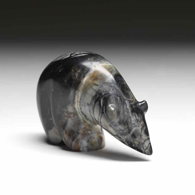 Melvin Sandoval: Picasso Marble, Bear